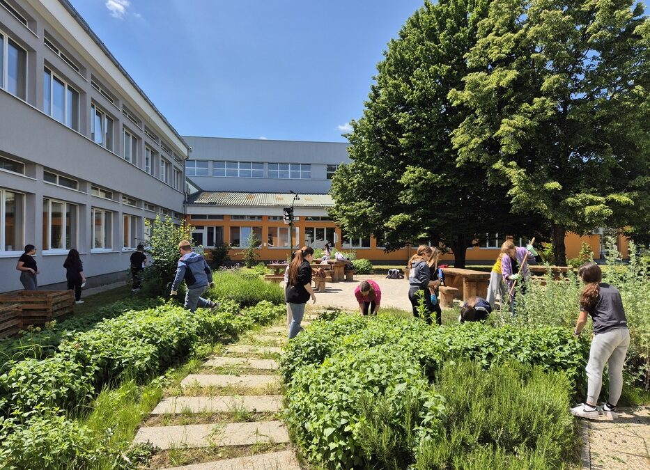 Ekolozi „napali“ STEM vrt